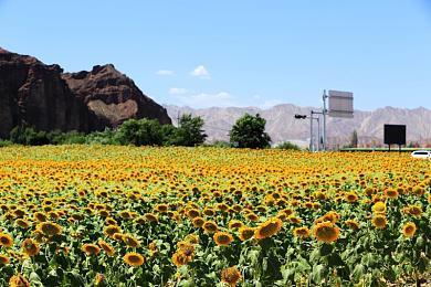《使命召唤》联动《高达》曝光新预告